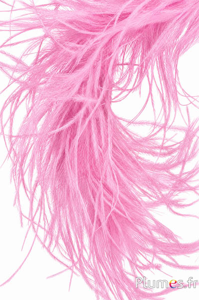 Struisvogel lont - 10 cm - roze